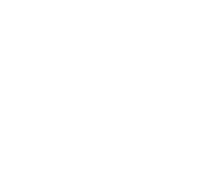 optimize